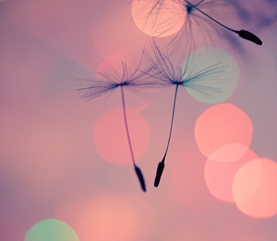 dummy-1920&#215;1080-FairyLights