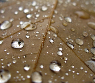 dummy-1920&#215;1080-FairyLights